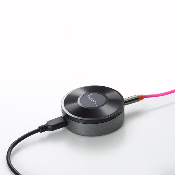 AudioCast M5 Wireless Wifi Music Audio Streamer Receiver