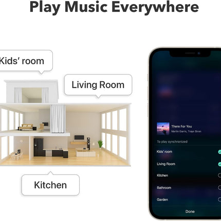 WiiM Pro Plus AirPlay2 Receiver WiFi Multiroom Streamer