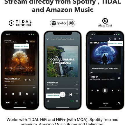 WiiM Pro Plus AirPlay2 Receiver WiFi Multiroom Streamer