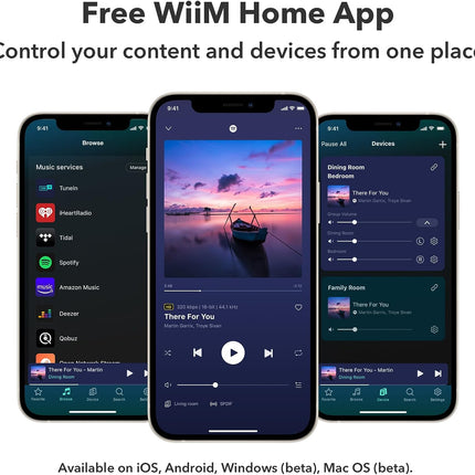 WiiM Pro Plus AirPlay2 Receiver WiFi Multiroom Streamer