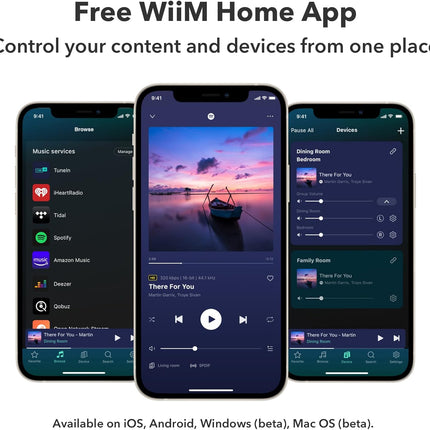 WiiM  Amp & Amp Pro: Multiroom Streaming Amplifier