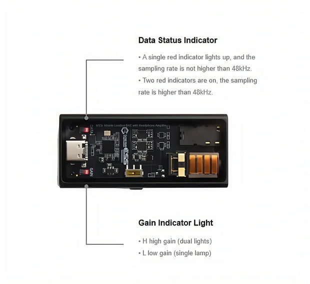 <strong>Supporting Dynamic Sampling Rate DisplayWhen playing music, the data status indicator will light up.</strong>
