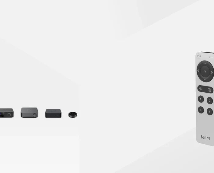<h2><strong>Perfect WiiM Compatibility – Designed Exclusively for WiiM Streamers & Amplifiers</strong></h2>